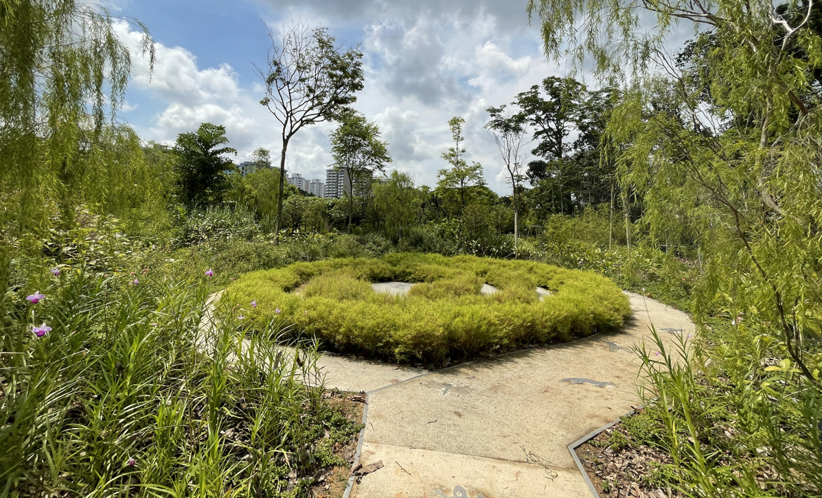 Therapeutic Garden